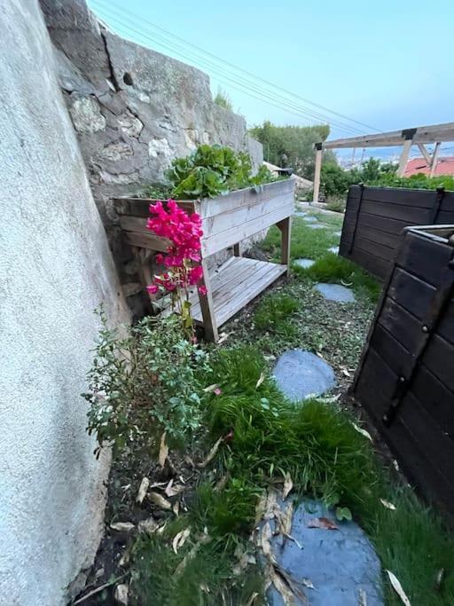 Superbe Terrasse Avec Vue Panoramique Sur La Mer Marseille Bagian luar foto